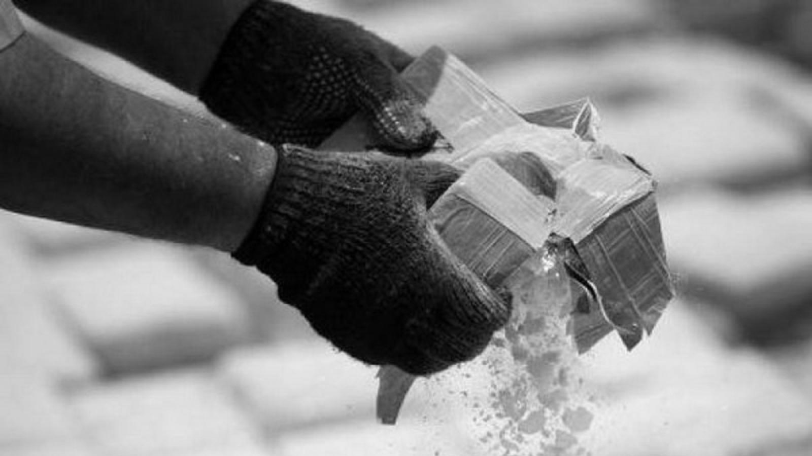 Three Arrested With 1.34 Kg Drugs in Himachal’s Nurpur