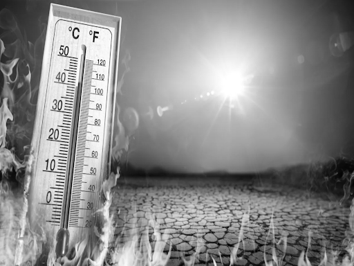 Climate Change Crisis in India: IMD Plans Major Overhaul of Heatwave Warning Rules
