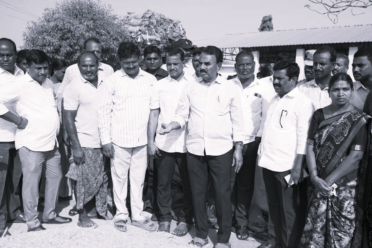 Lightning Strike Kills 30 Sheep in Nagar Kurnool, Minister Announces Relief