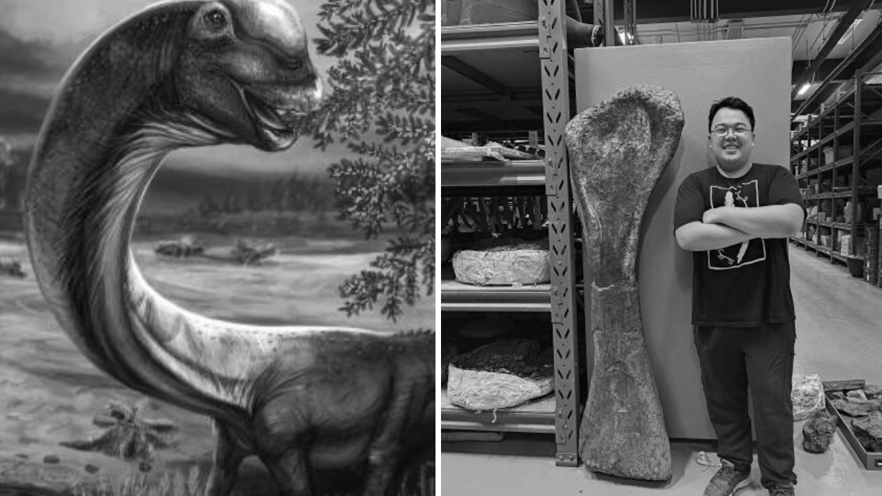 New Dinosaur Discovered in Thailand: Nagatitan Is Southeast Asia's Largest Ever