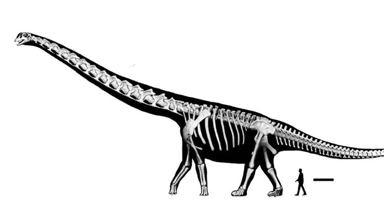 New Dinosaur Discovered in Thailand: Nagatitan Is Southeast Asia's Largest Ever