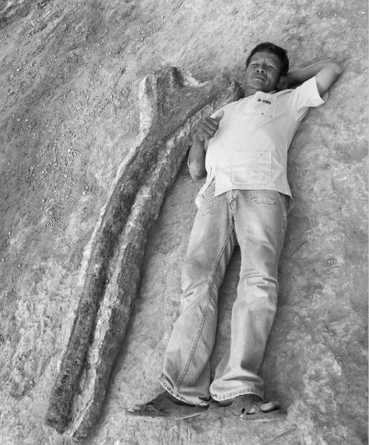 New Dinosaur Discovered in Thailand: Nagatitan Is Southeast Asia's Largest Ever