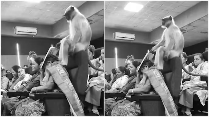 Count Me In Too! Monkey Crashes Gujarat Census Workshop
