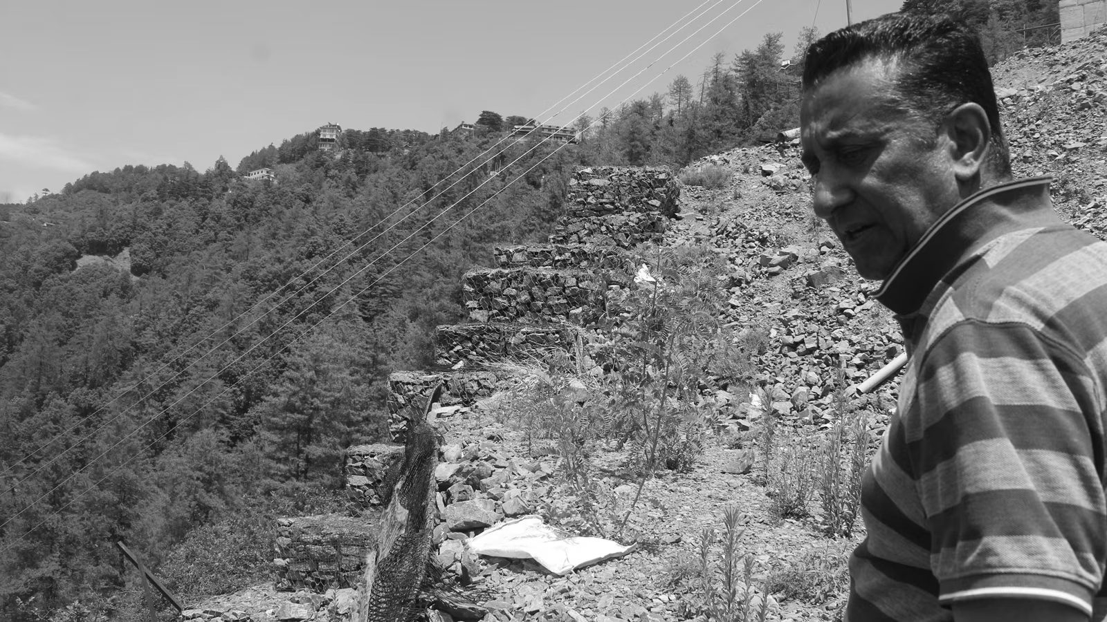 NHAI Reverses ‘Act of God’ Stand, Agrees to Pay Rs 1.80 Crore to Shimla Orchard Owner