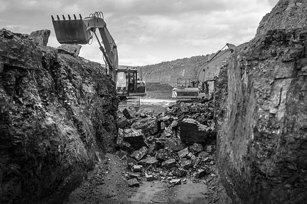 Environment Panel Approves Coal Mining Proposal in Chhattisgarh Hasdeo Arand Forest