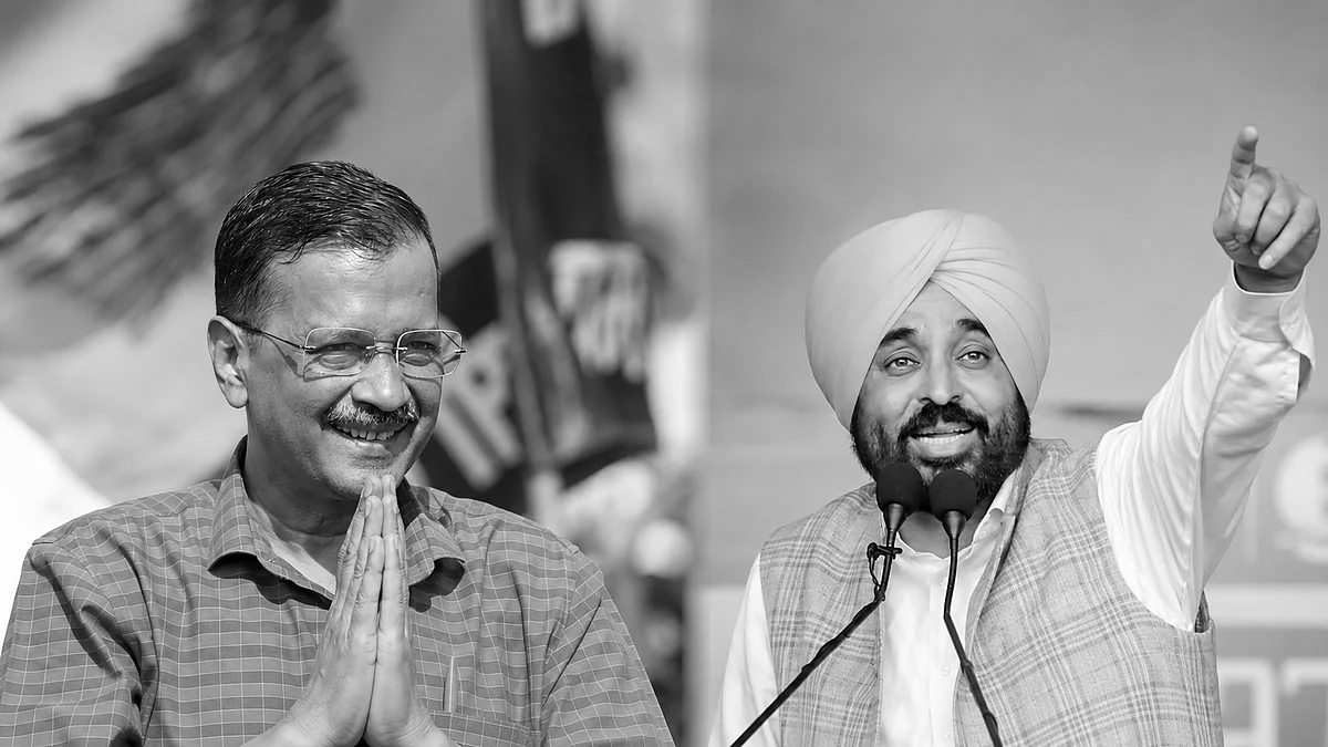 Clean Sweep! AAP Dominates Punjab Civic Polls, Captures Nearly Half of All Wards
