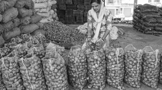 Maharashtra Onion Farmers Seek ₹10,000 Crore Revival Package Amid Income Crisis