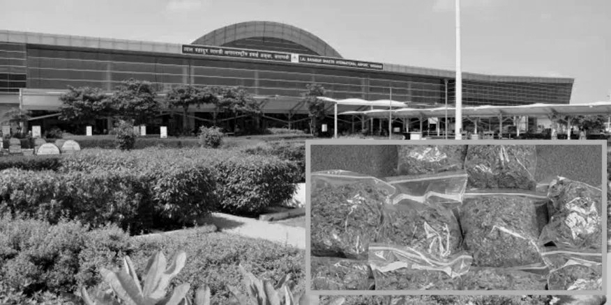 Six Thai Nationals Arrested in Varanasi Airport with Hydroponic Cannabis Worth Rs 19 Crore