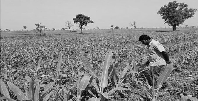 Maharashtra Clears Rs 36,585-Crore Farm Debt Relief Package for 56 Lakh Farmers