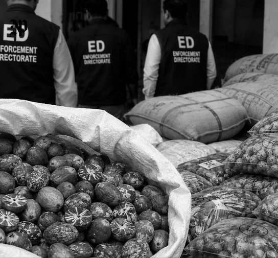 ED Raids Nine Locations in Mizoram Over Myanmar Areca Nut Smuggling Probe