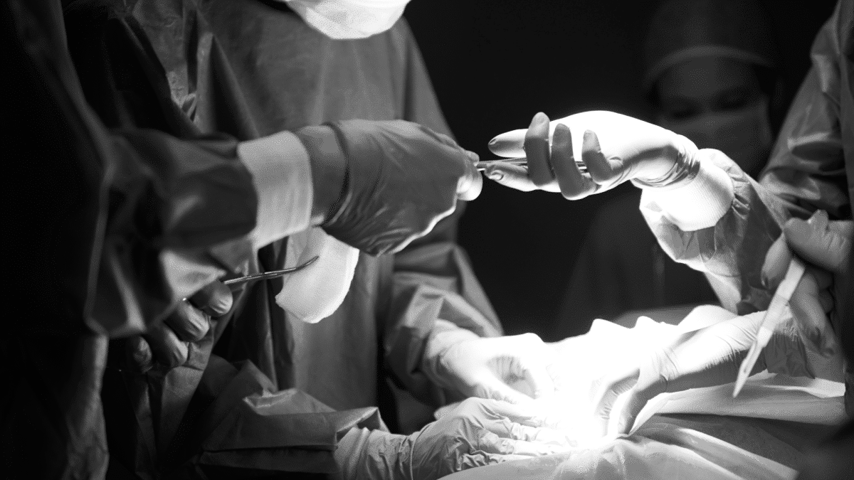 Artificial Heart Pumps Save Three Teenagers, Bridge Them to Life-Saving Transplants