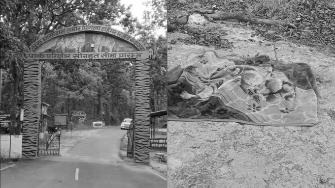 Two Road Workers Killed In Elephant Attack Inside Chhattisgarh Tiger Reserve