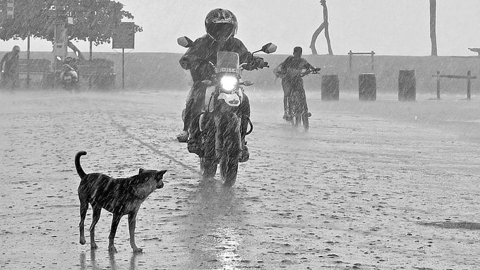 Heavy Rains in Kerala Leave Two Dead, Red Alert Issued for Northern Districts