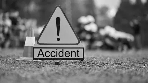 Wild Boar Triggers Kerala Highway Crash, 15 Hurt as Van Hits Tree