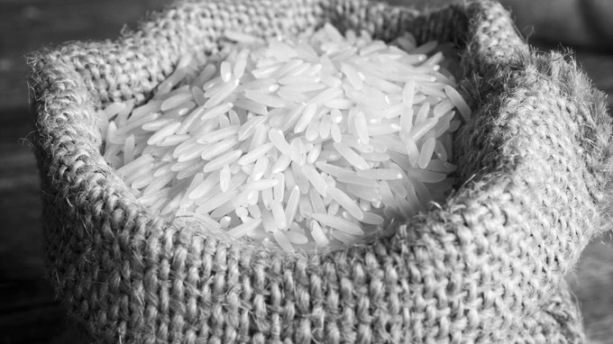 Basmati Paddy Sowing Begins in Jammu Border Belt, Crop Expected to Cover 63,000 Hectares