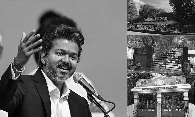 CM Vijay’s Birthday Celebrations: Free Access to Zoos Across Tamil Nadu on June 21-22