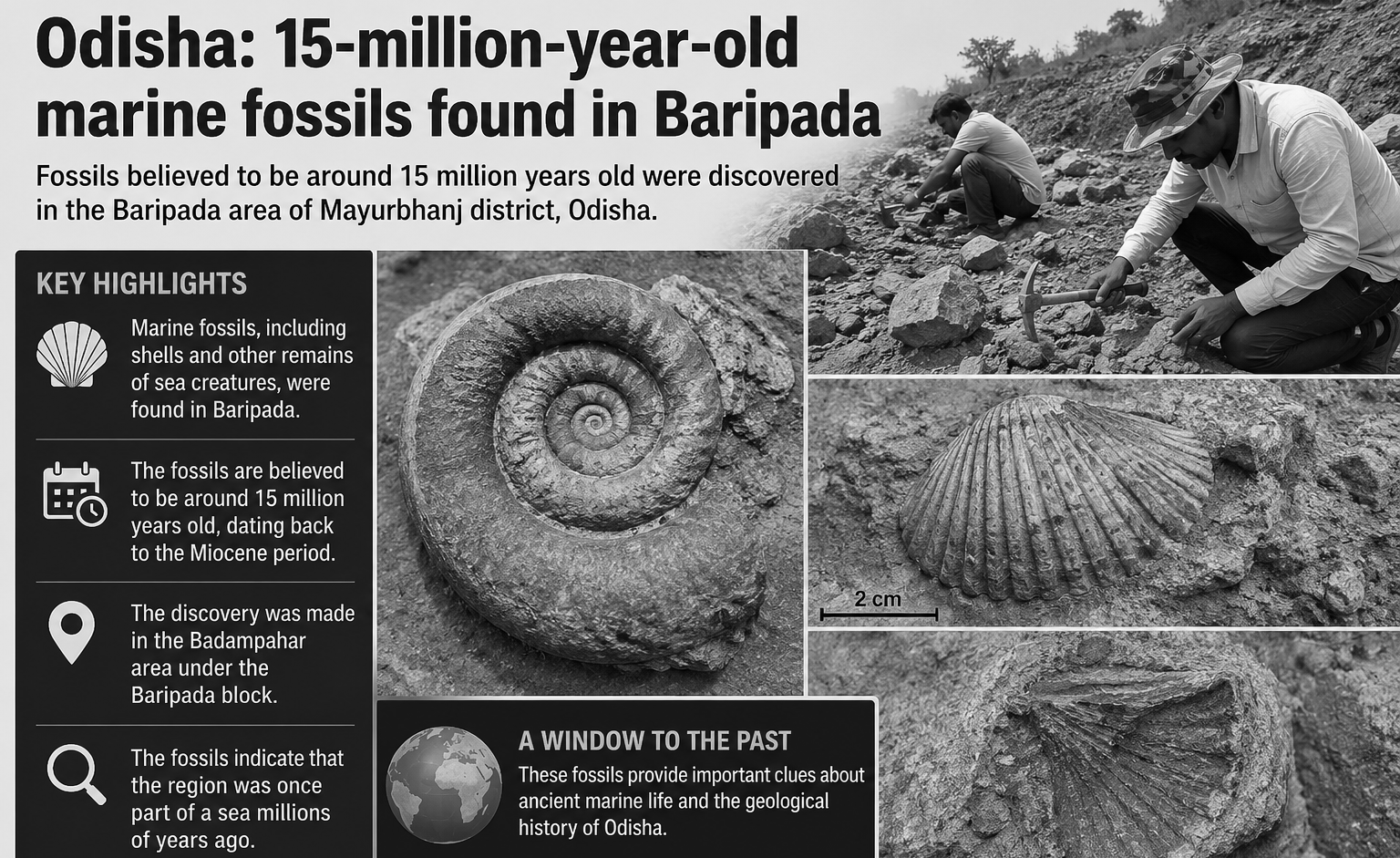 Ancient Marine Fossils Reveal Baripada Was Under Sea Millions of Years Ago