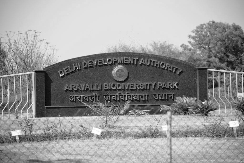 Aravalli Biodiversity Park Helps Delhi Retain 3 Million Litres Of Rainwater, Cuts Flood Risk: Study