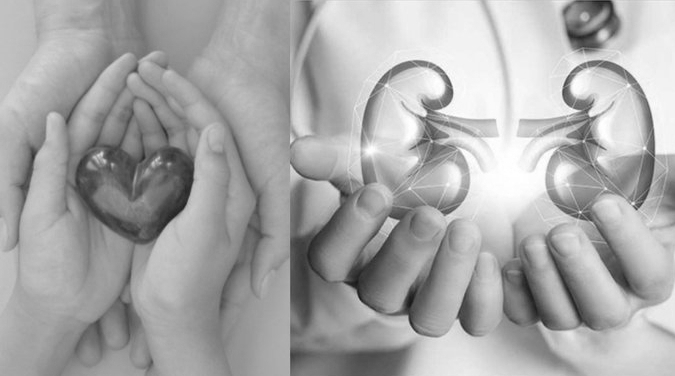 India Crosses Five Lakh Organ Donation Pledges, Marking Major Healthcare Milestone