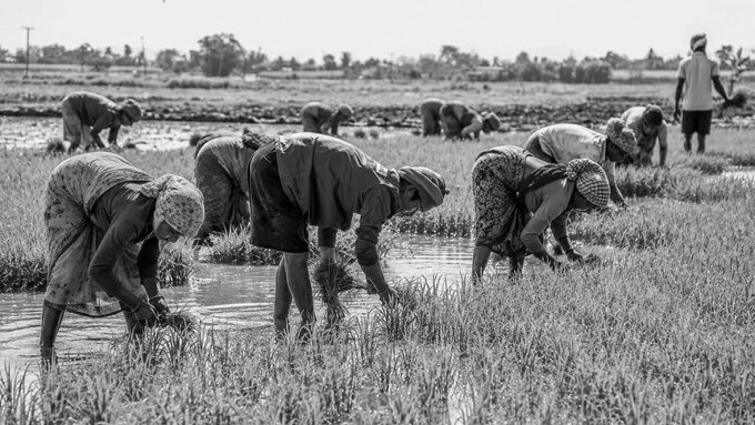 IMD Warns Weak Monsoon Till July 2, Govt Identifies 111 Vulnerable Districts For Kharif Crop Risk