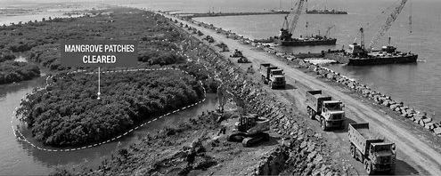 Fast Track for India's Biggest Port Dream: Bombay HC Clears Mangrove Removal for Rs 76,220 Cr Vadhvan Project