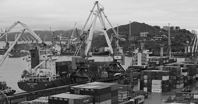 Fast Track for India's Biggest Port Dream: Bombay HC Clears Mangrove Removal for Rs 76,220 Cr Vadhvan Project
