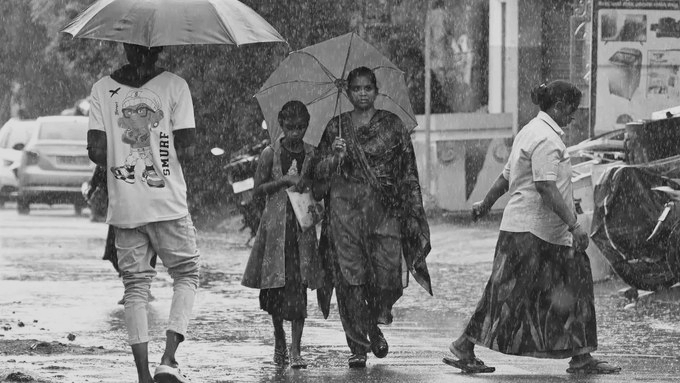 Heavy Rain Alert for 14 Tamil Nadu Districts, AP, Telangana on Monsoon Watch