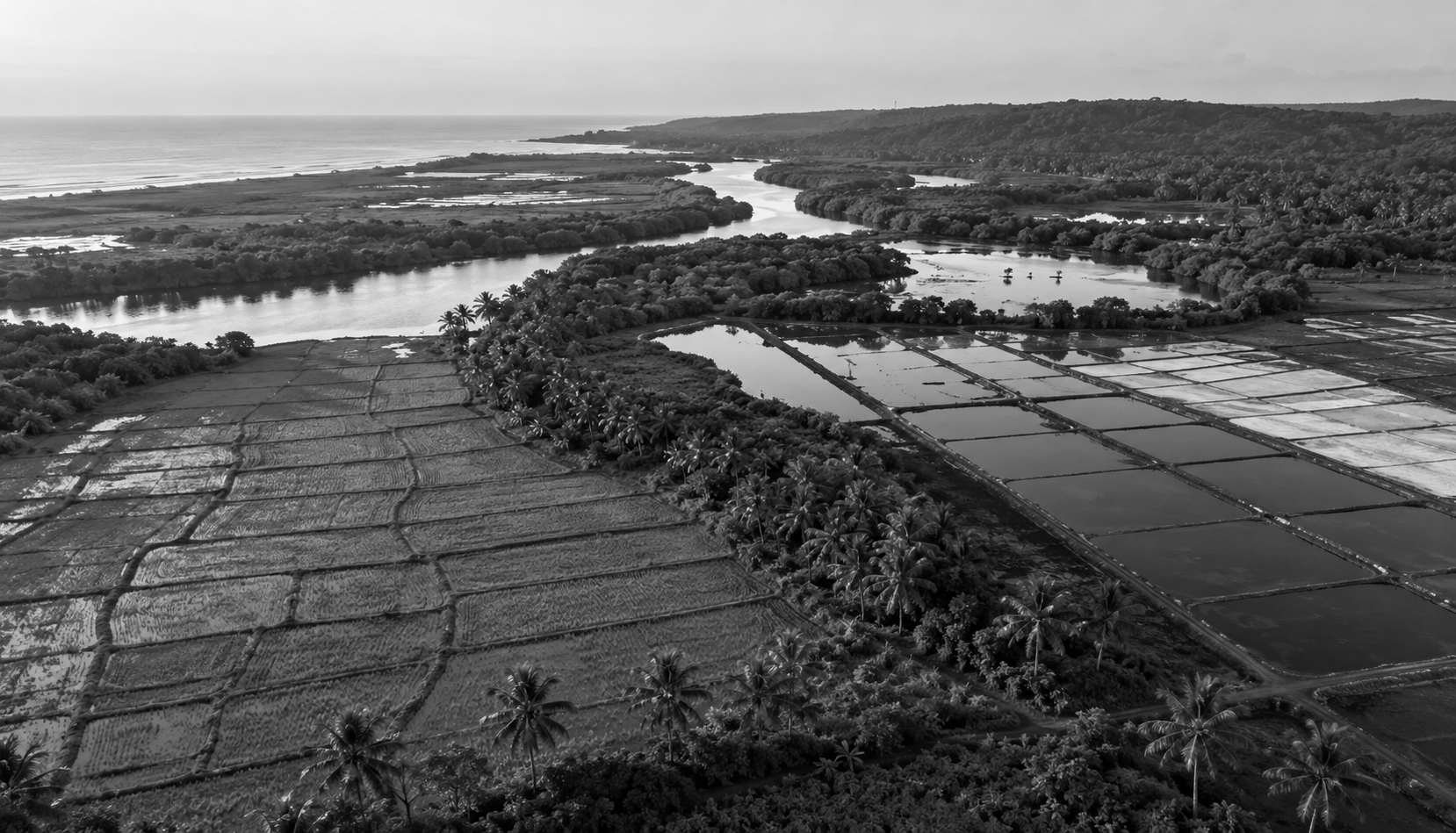 Goa Expands Eco Protection, Declares 1.03 Crore Sq Metres NDZ