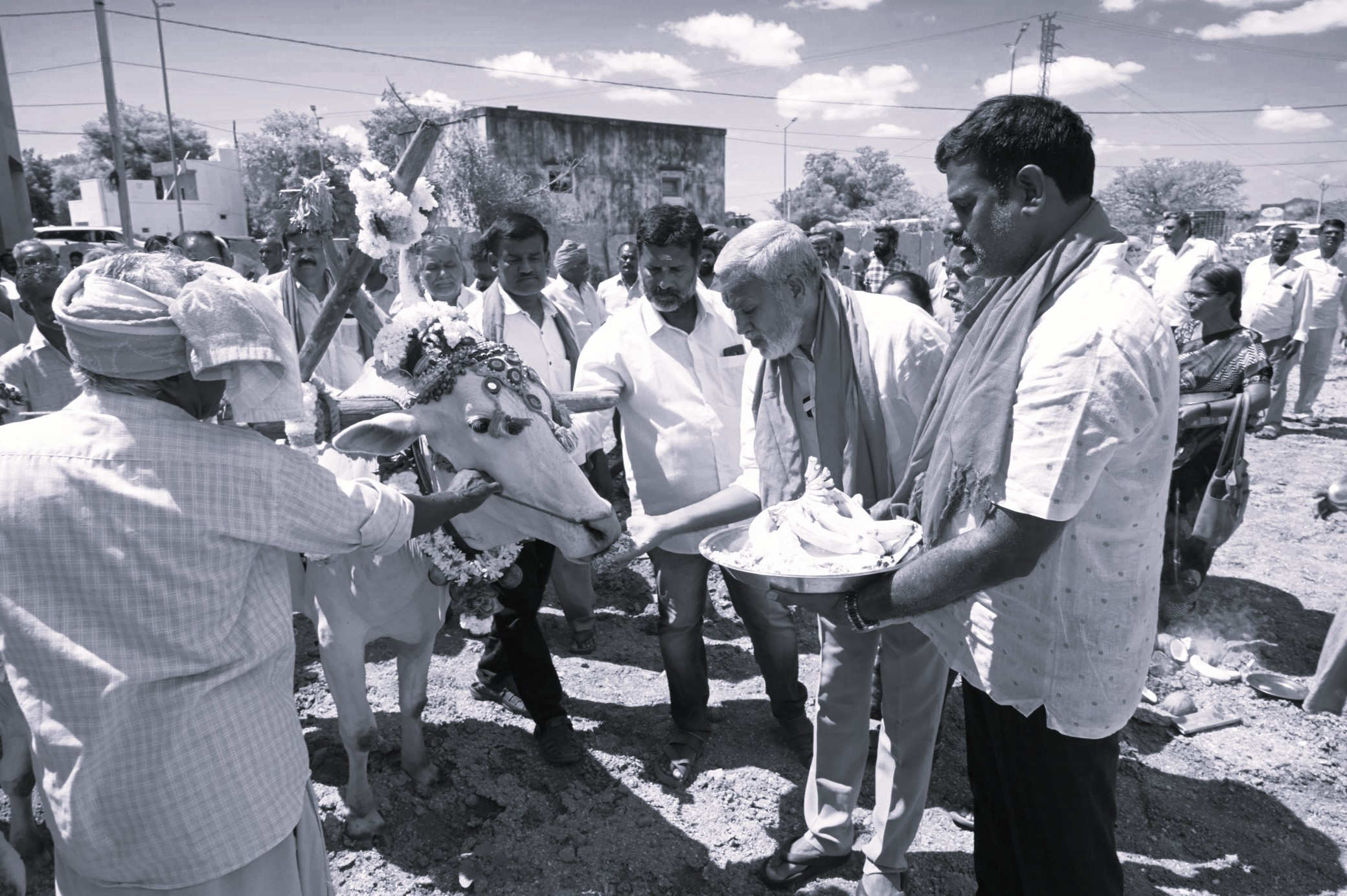 ₹17 Crore Support Boosts 26,000 Mango Farmers in Chandragiri
