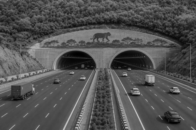 India's Longest 8 Lane Wildlife Tunnel Beneath Rajasthan Tiger Reserve to Open in August