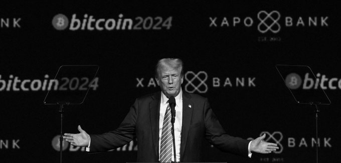 We're All Profiting: Trump Defends $1.4 Billion Crypto Fortune