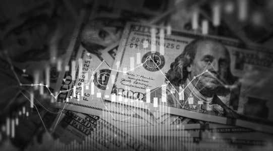 India's Forex Reserves Fall by USD 5.65 Billion to USD 666.93 Billion as Gold Holdings See Sharp Decline