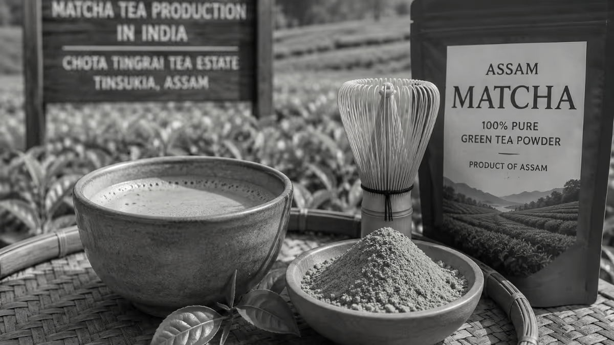 Assam Creates History with India's First Commercially Produced Matcha Tea