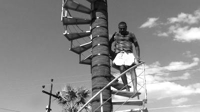 Thoothukudi Man Builds Spiral Staircase Around Palmyra Tree to Beat Labour Shortage