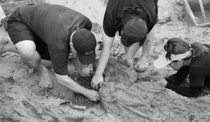 2,000 Year Old Gold Rings Unearthed in Thailand Reveal Ancient Ties With India