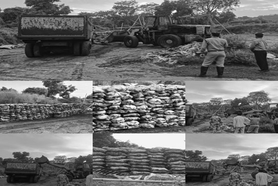 CISF Recovers Over 428 Metric Tonnes Illegal Coal After Special Ops In WB, Jharkhand